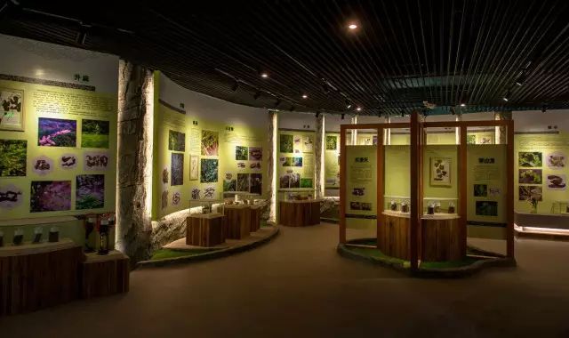 奇妙博物館丨長春有個中醫(yī)藥博物館,你知道嗎?